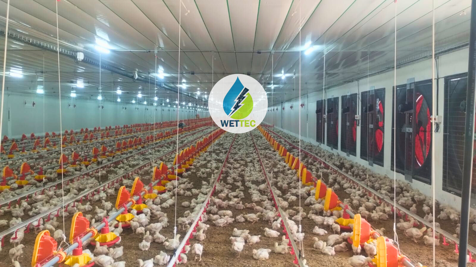 wettec-avicolas